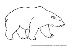 Eisbär-2.pdf